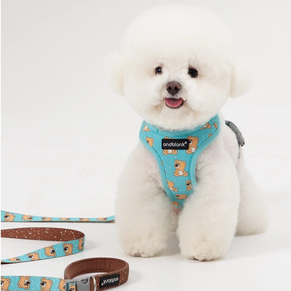 Joy Bear Harness (Mint)
