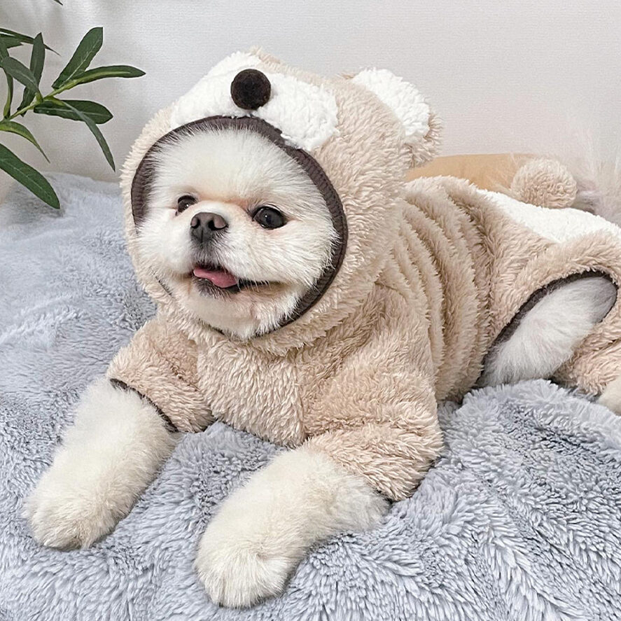 可愛泰迪熊連身衣裝扮服