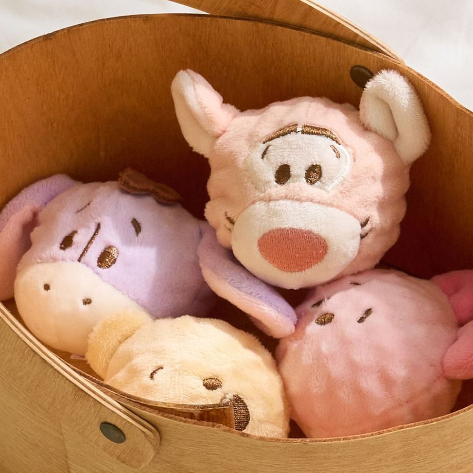Disney Catchball Toy