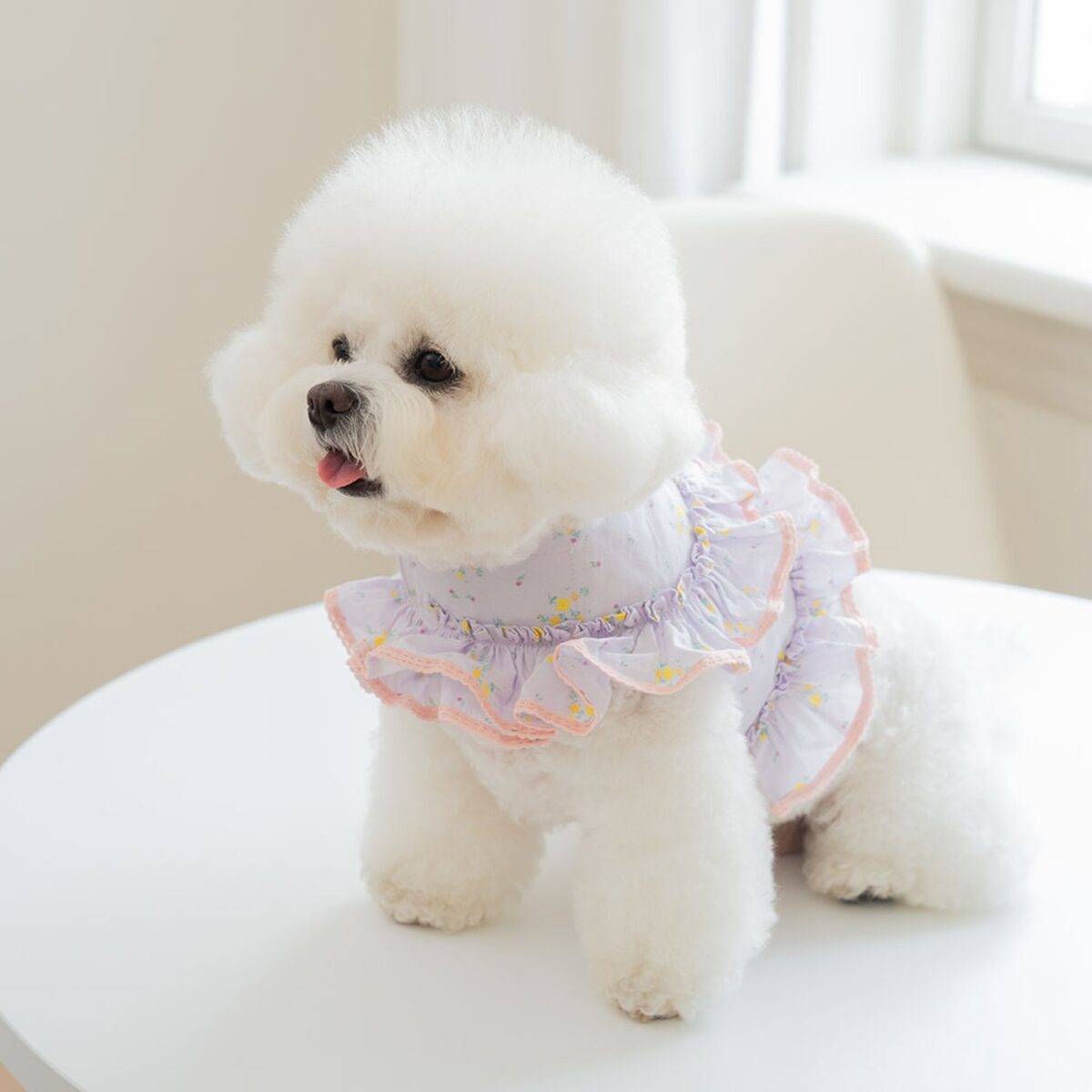 Bloom Harness