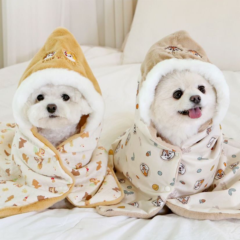 Disney Organic Blanket (Chip and Dale)
