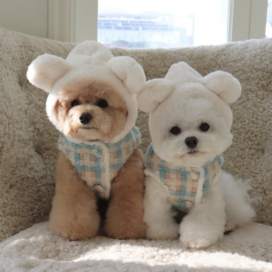 White Bear Vest