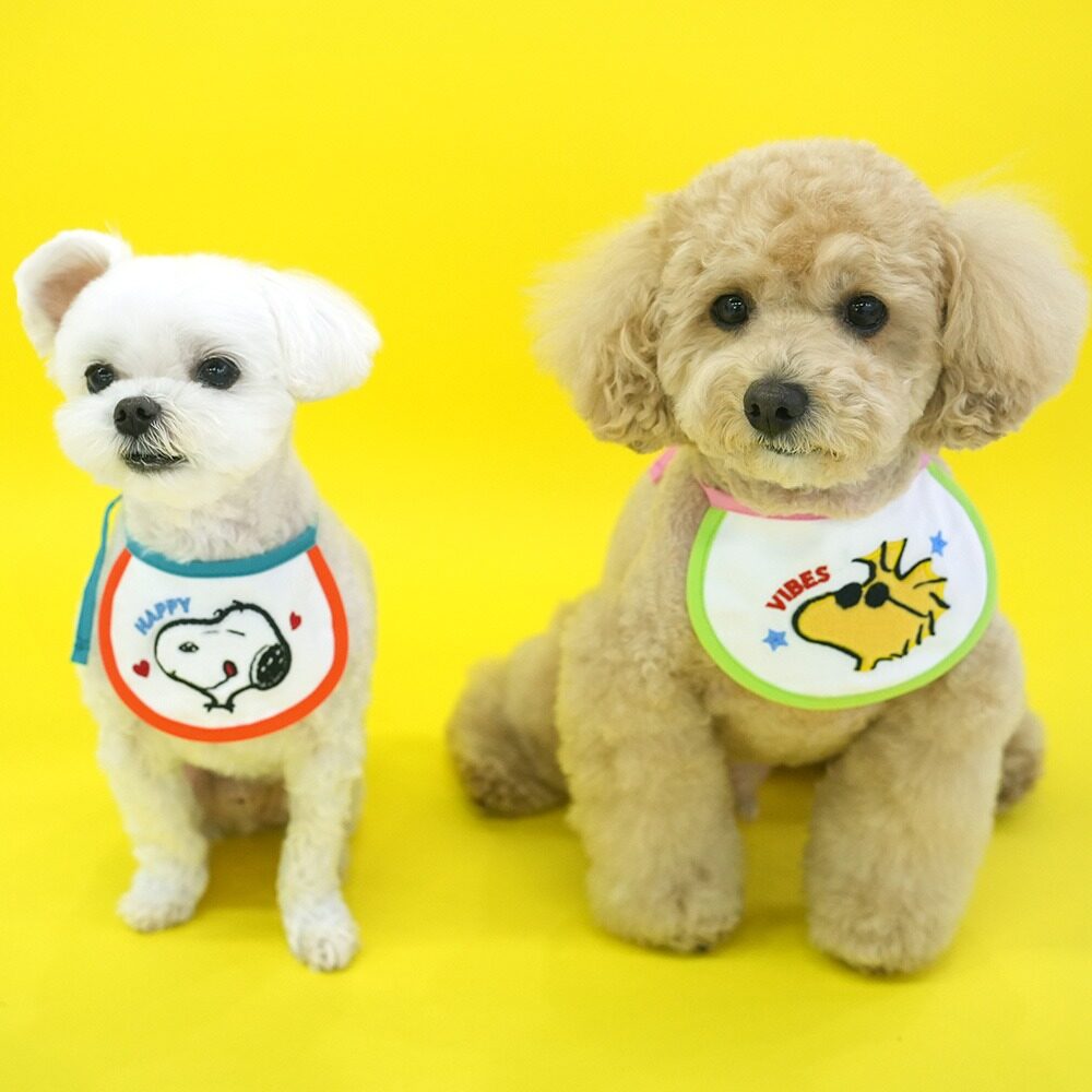 Peanuts Special Bib