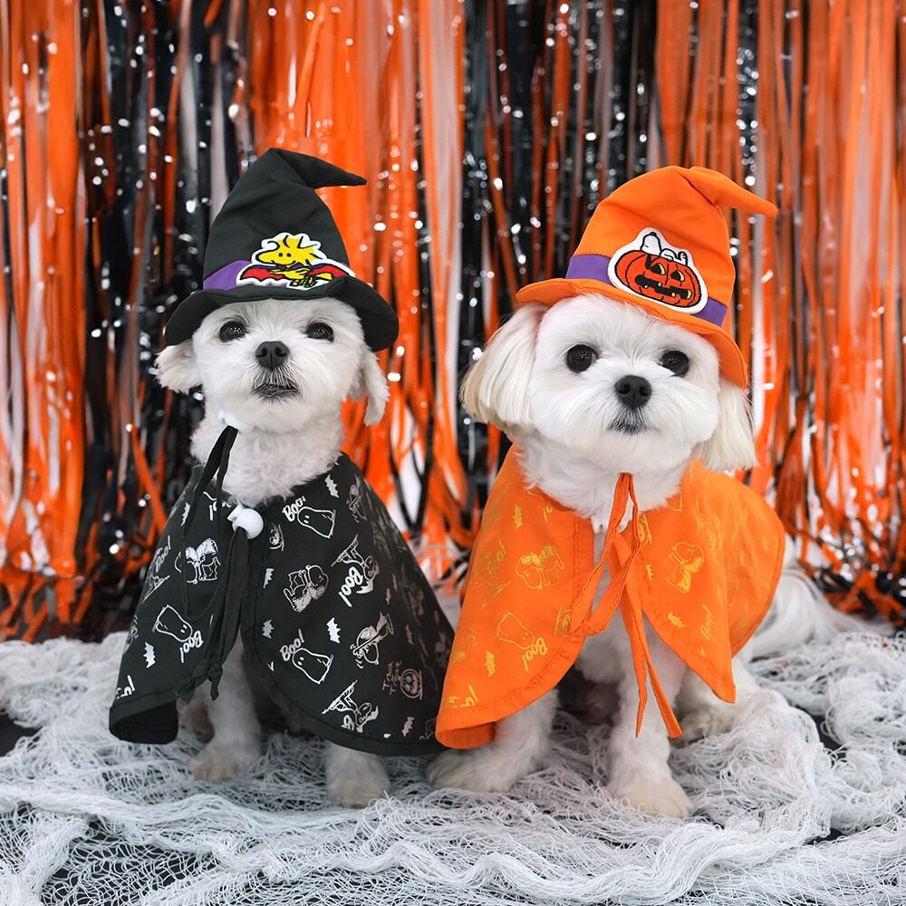 Peanuts Halloween 裝扮套裝