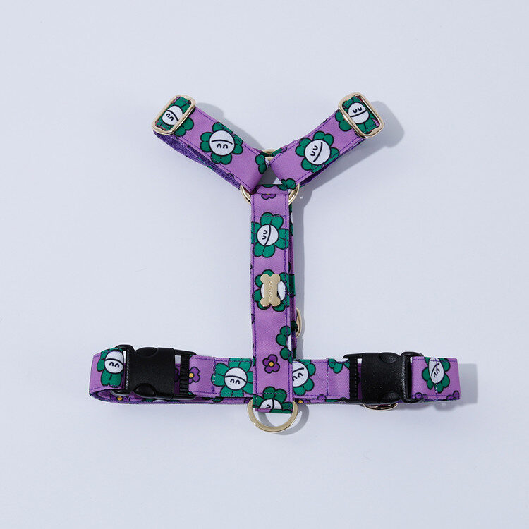 Mr. Clover H Harness