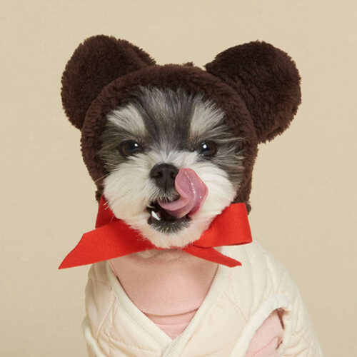 Teddy Bear Hat