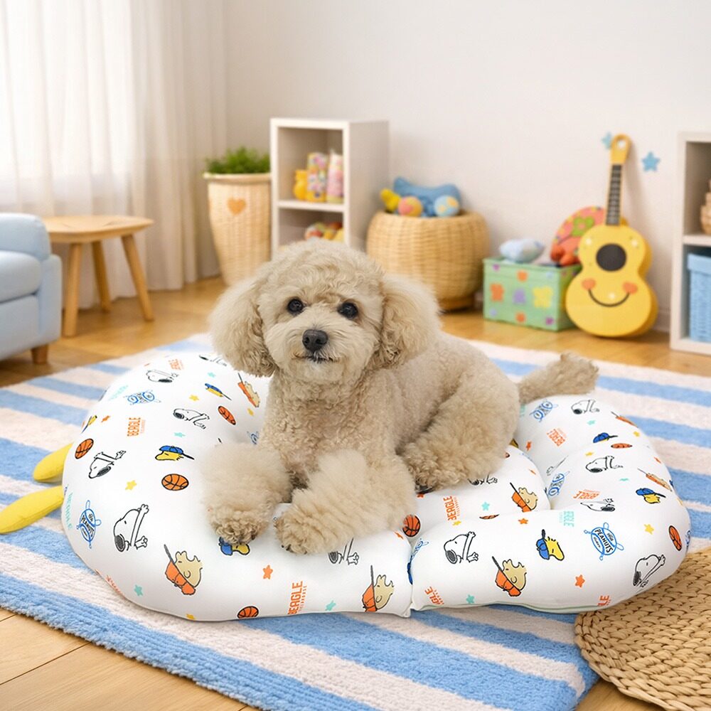Peanuts Varsity Reversible Cool Bed