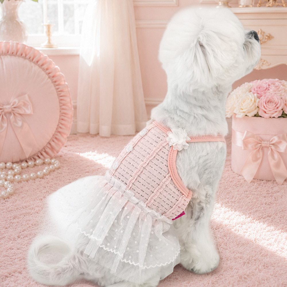 Tutu Mini Dress