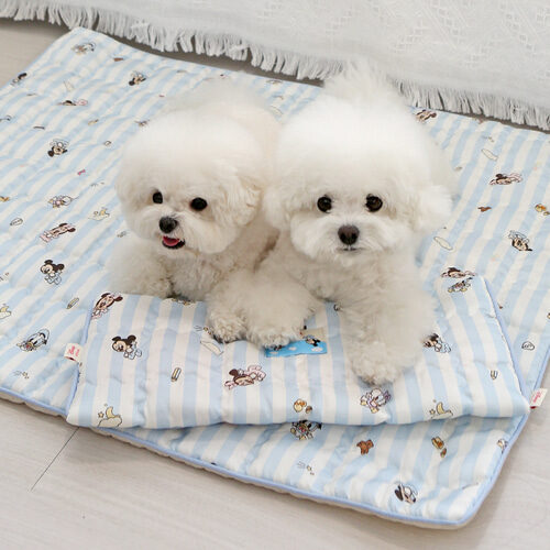 Disney Rayon Cooling Mat