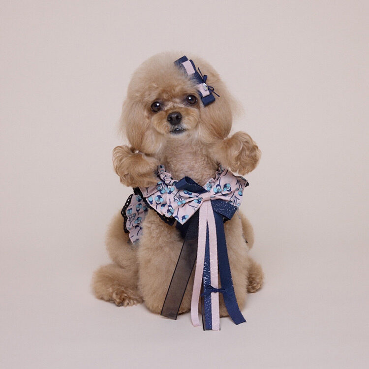 Ros Dress Harness