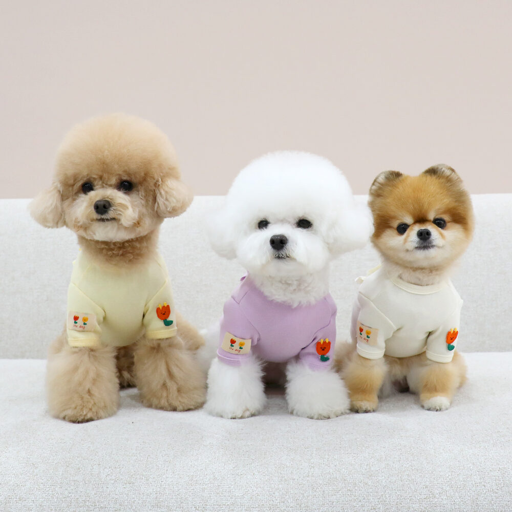 Shu Shu Frill T-Shirt
