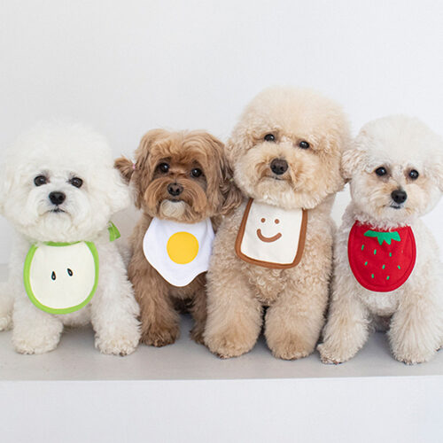 Morning Dog Bib