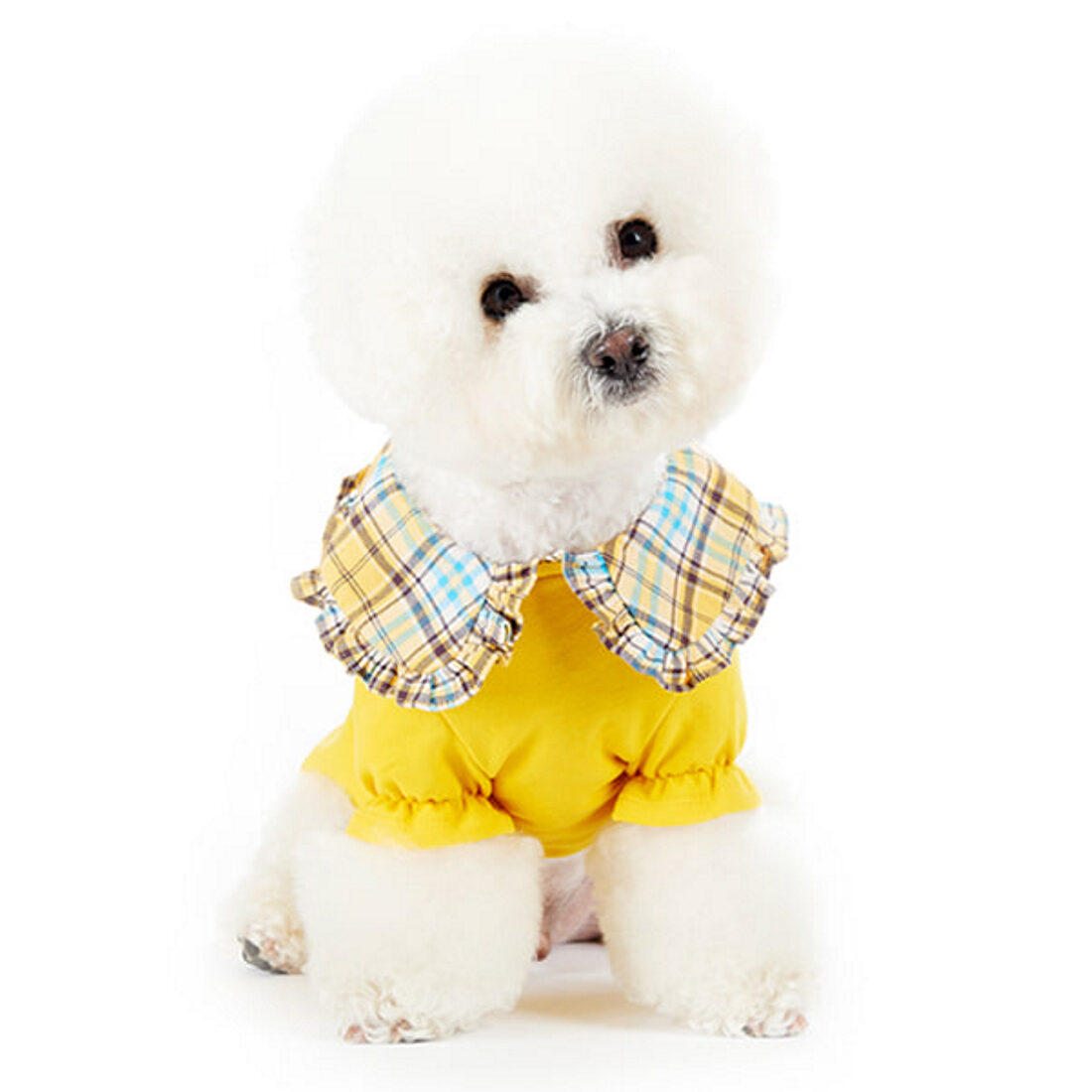 J.O.Y! Check Collar Ruffle T - YELLOW
