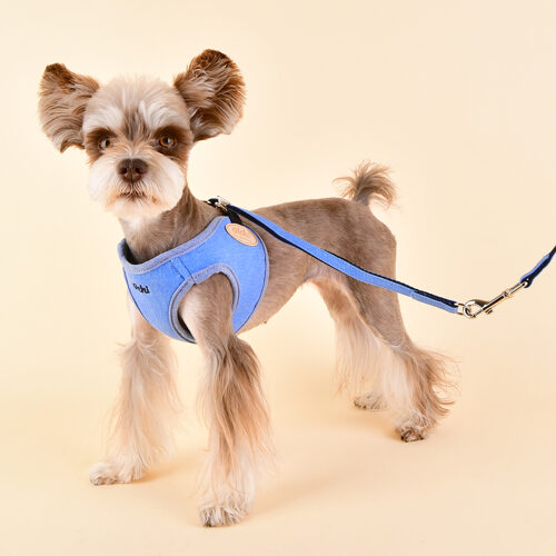 Olchi Magic Harness