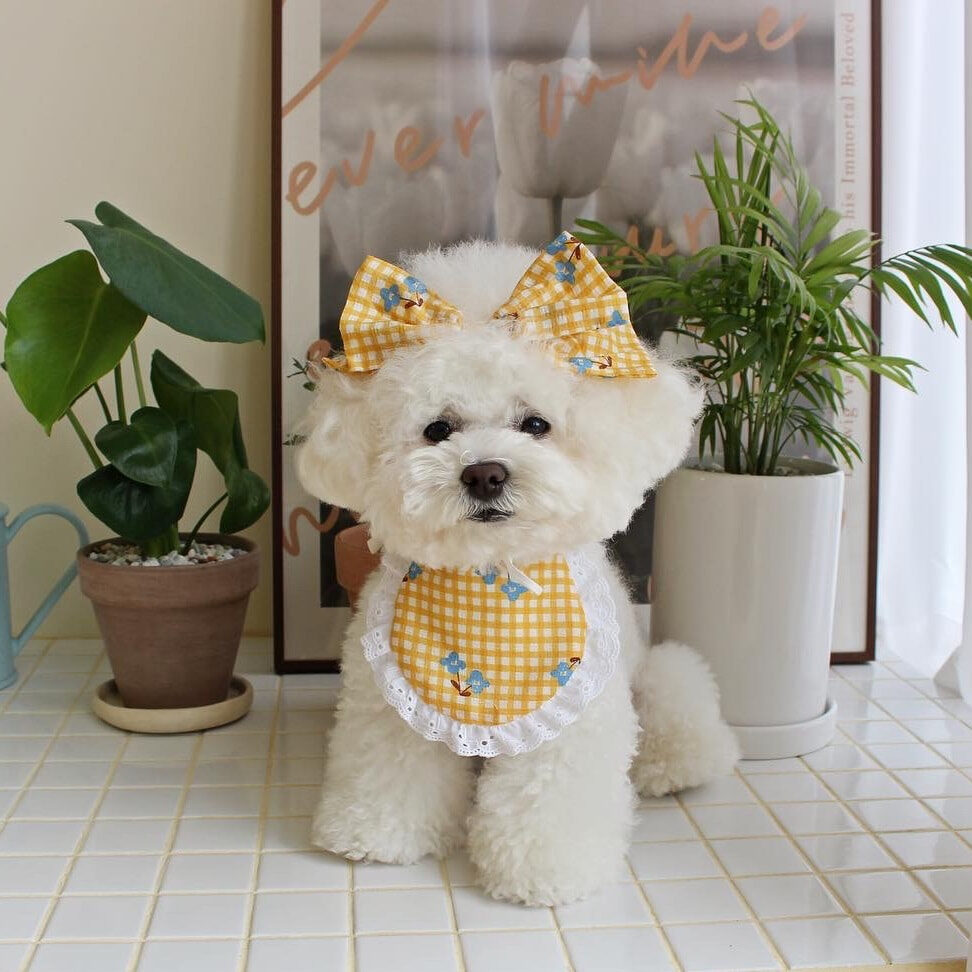 Check Flower Bib