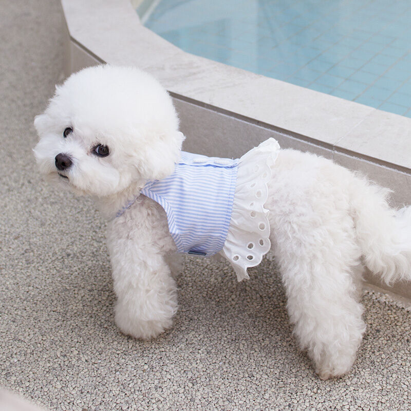Bian Crop Top