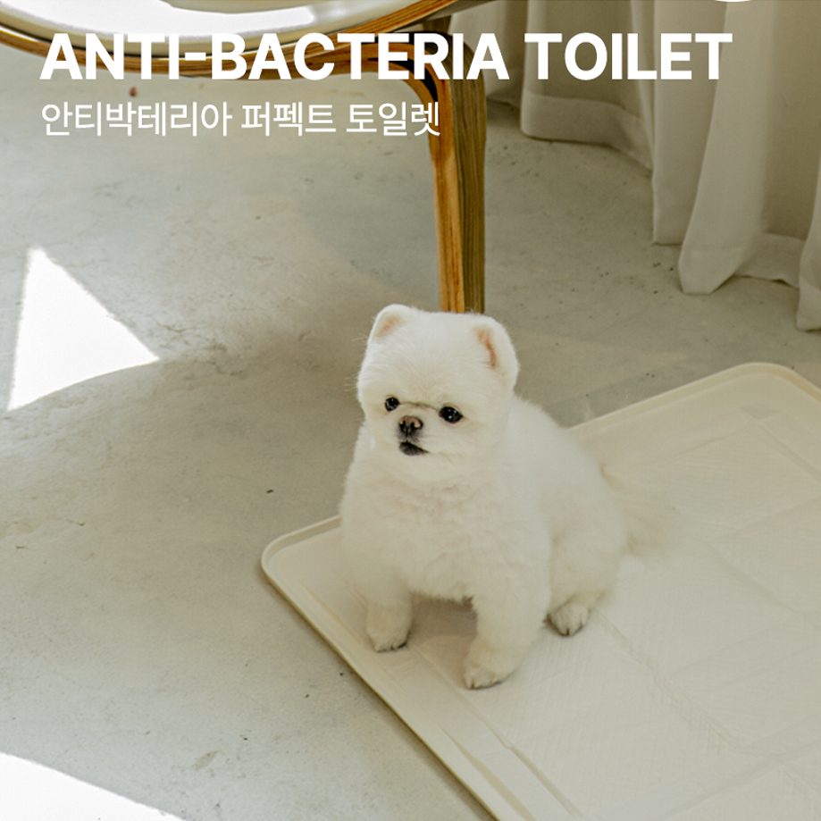 Anti-Bacteria Perfect Toilet Mat
