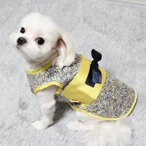 小福袋韓國新年服