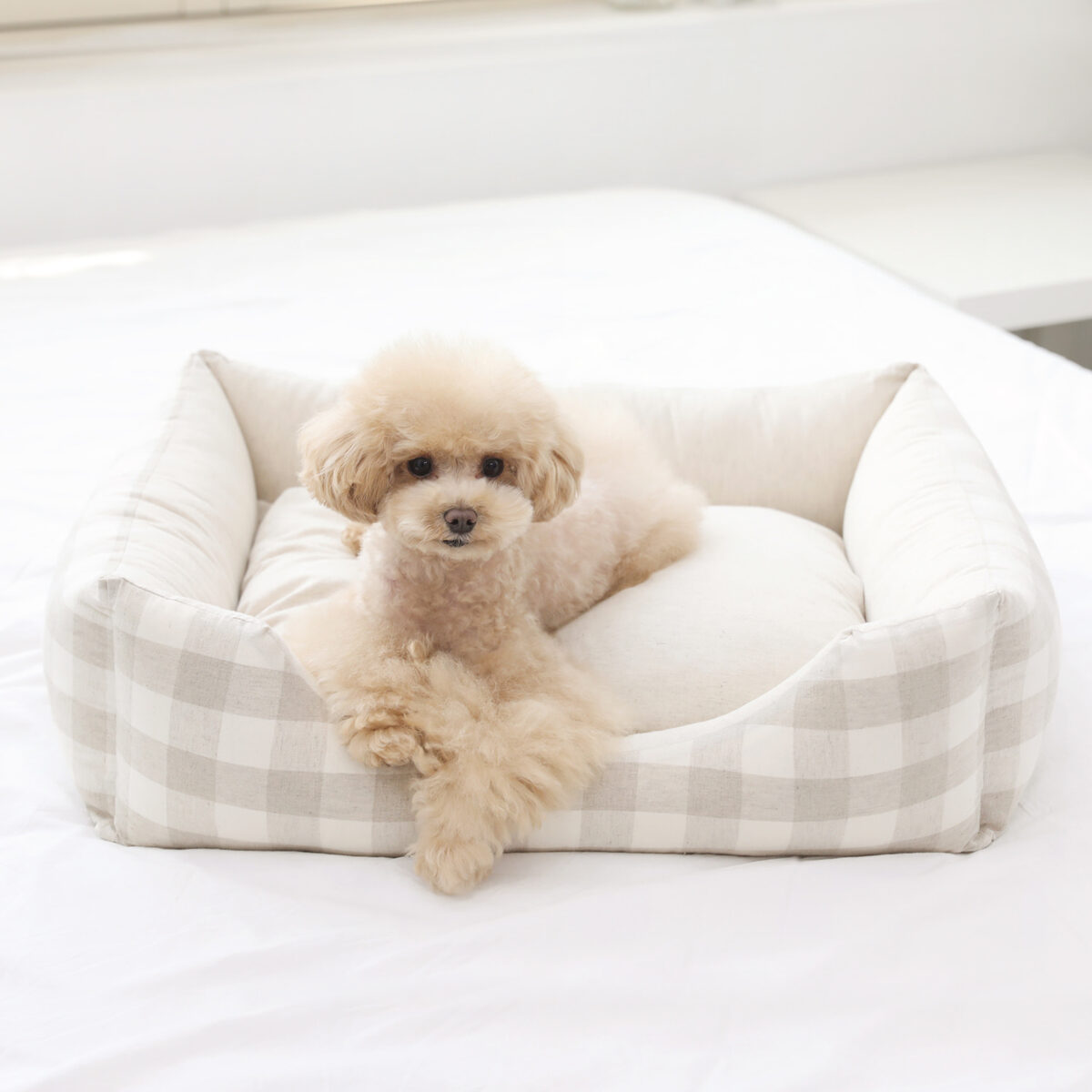 Linen Bumper Bed