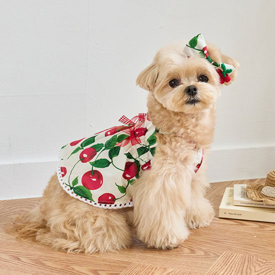 SunDress (Cherry)
