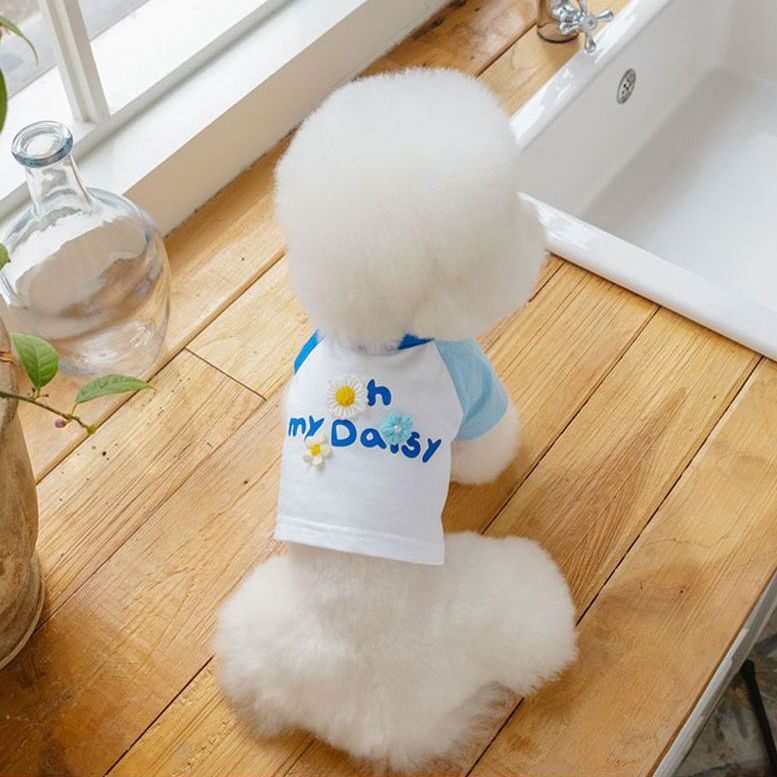 Oh My Daisy TS (White)