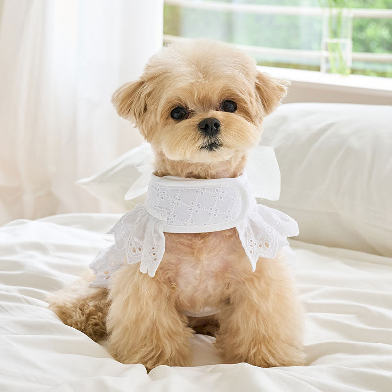 Angel Harness (White)