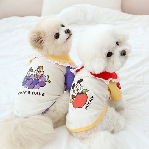 Disney Picnic Cara T-Shirt