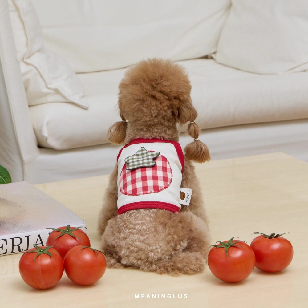 Tomato Crop