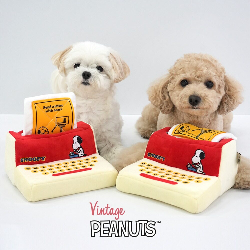 Peanut Typewriter Toy