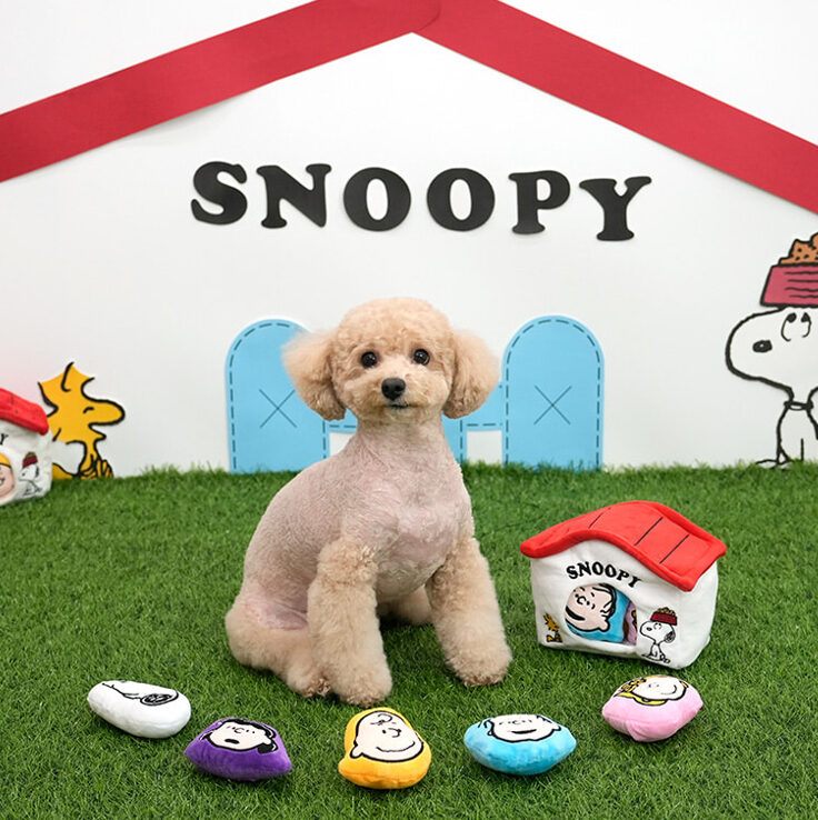 Peanuts House Toy Set