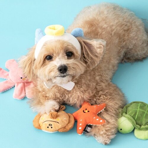 Sea Friends Toy (2 sets)