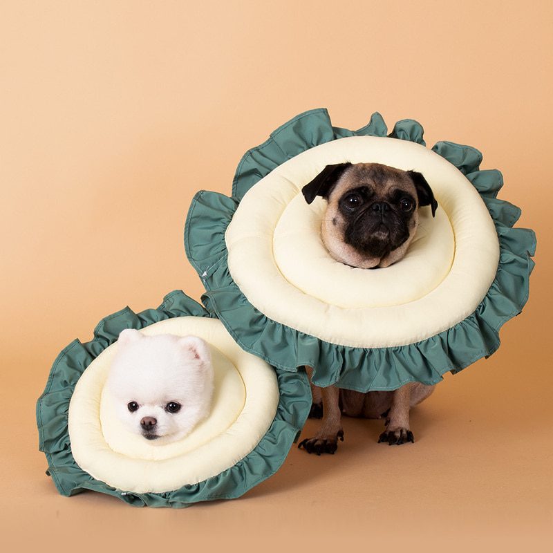 Sunflower Neck Collar 2.0