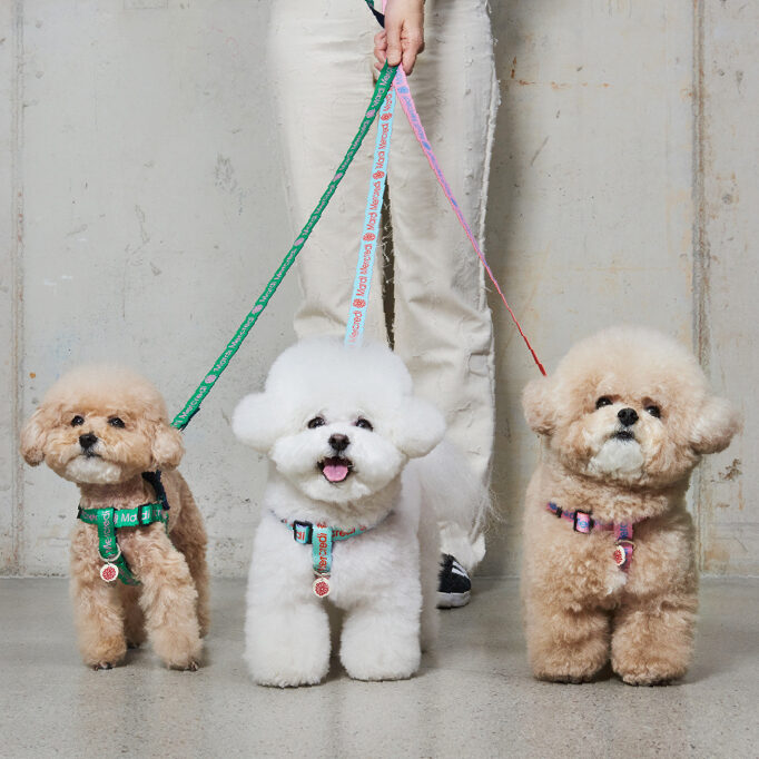 Mardi Mercredi Jeudi Harness