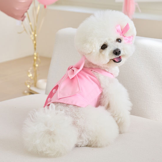 Love Ribbon Top