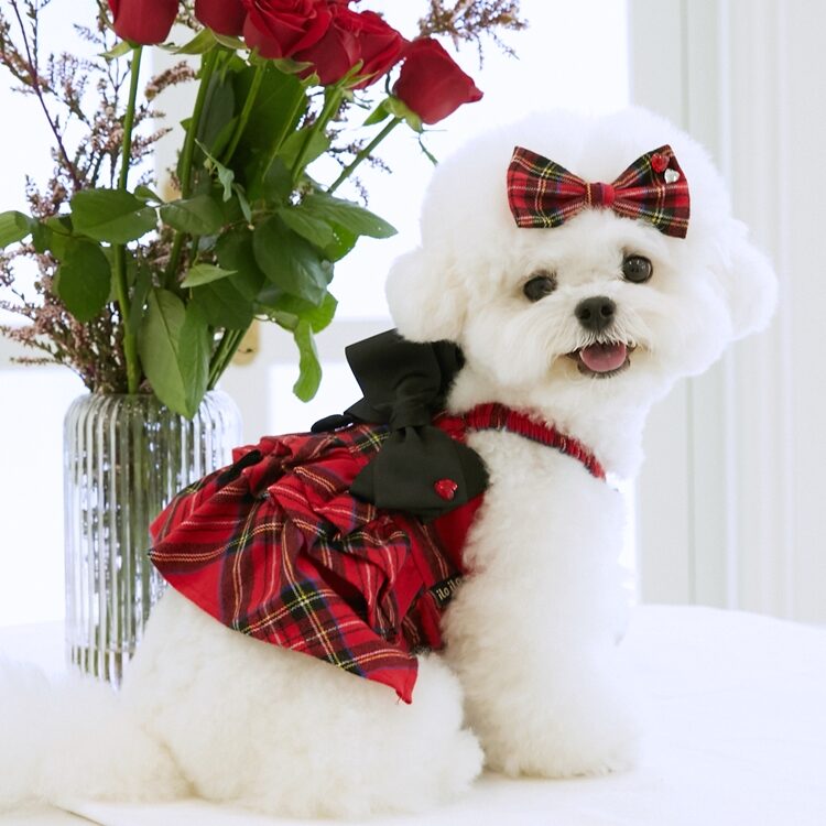 Scarlet Check Petit Dress