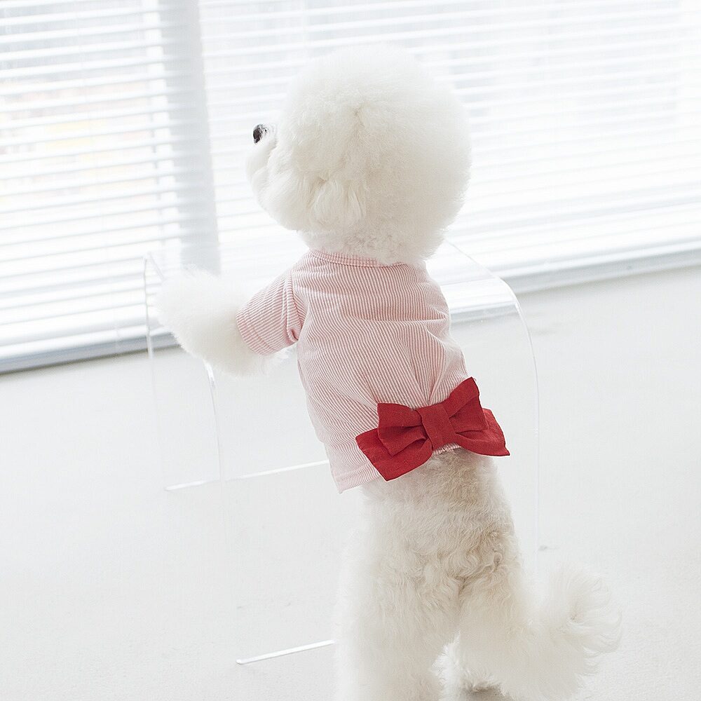 Moriti Shirt