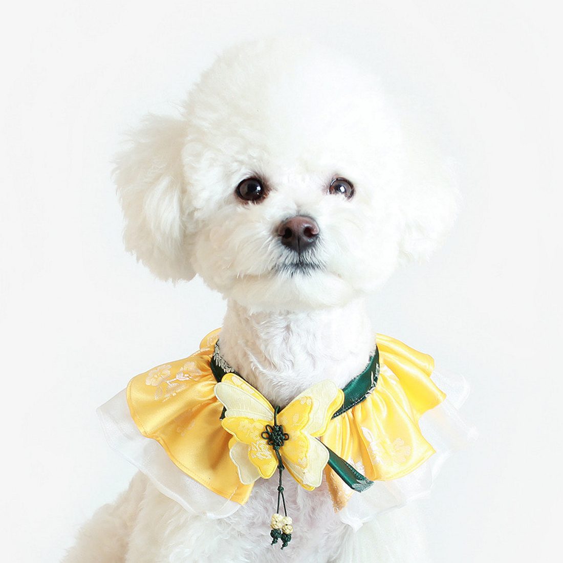J.O.Y! Hanbok Butterfly Cape - Yellow (已售罄)