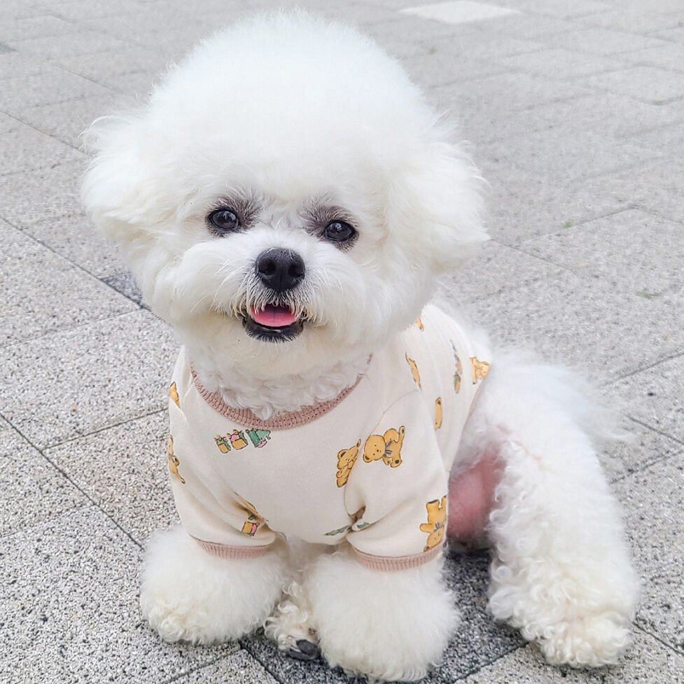 Cozy Bear T-shirt