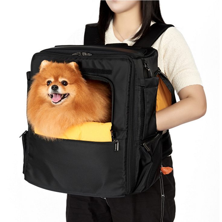 Travel Cushion Backpack