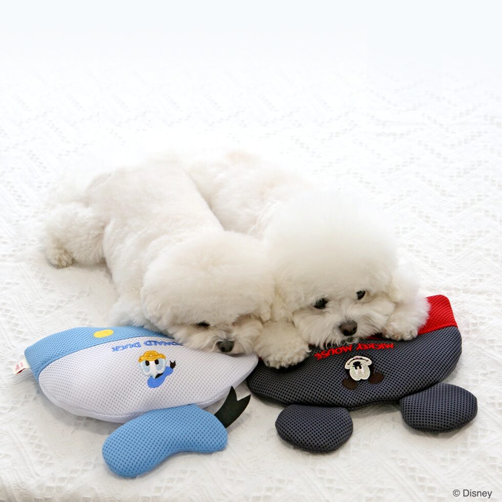 Disney Mesh Ice Pillow