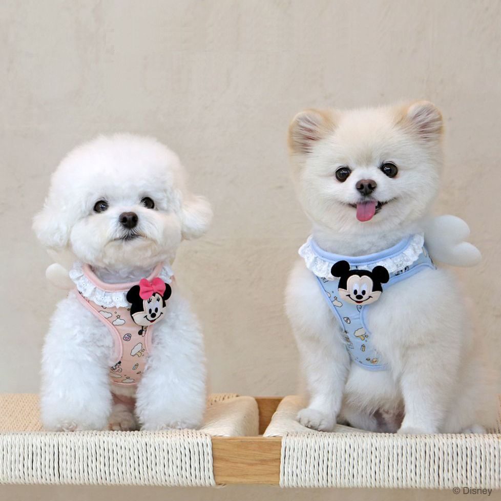 Disney Baby Friends Angel Harness