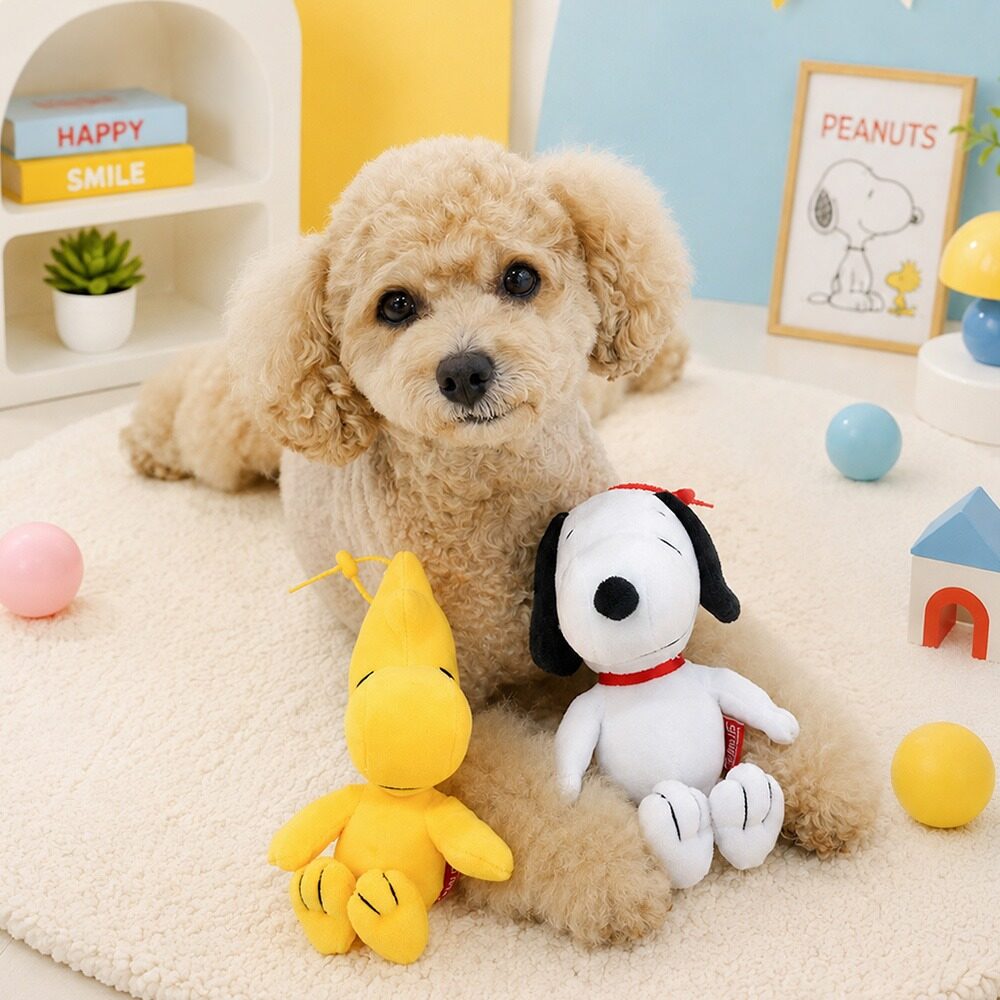 Peanuts Doll Toy