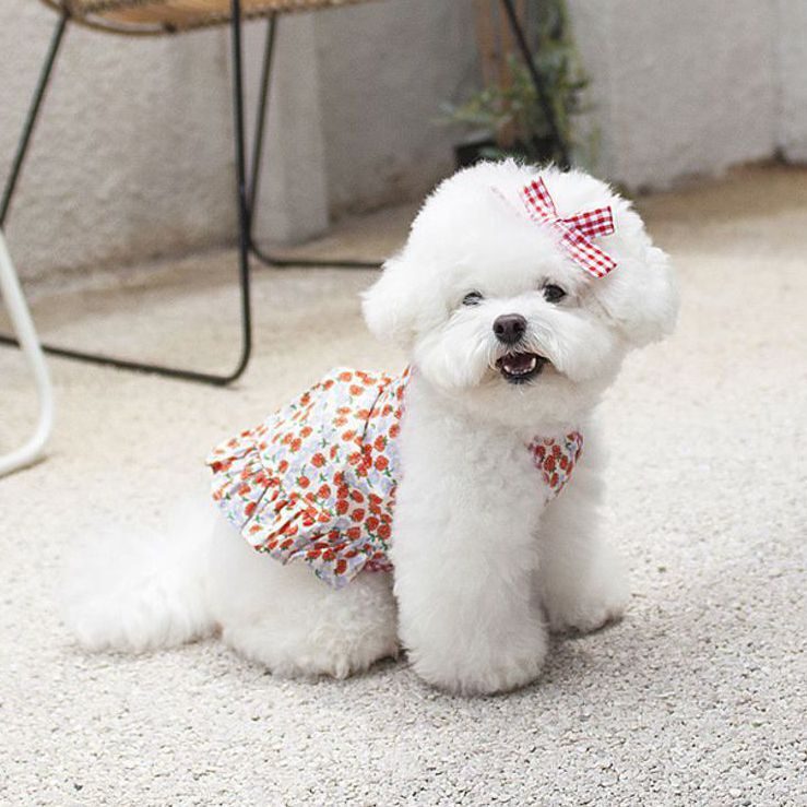Vivi Dress