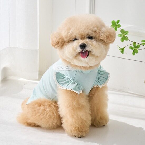 Summer Bebe TS (Mint)