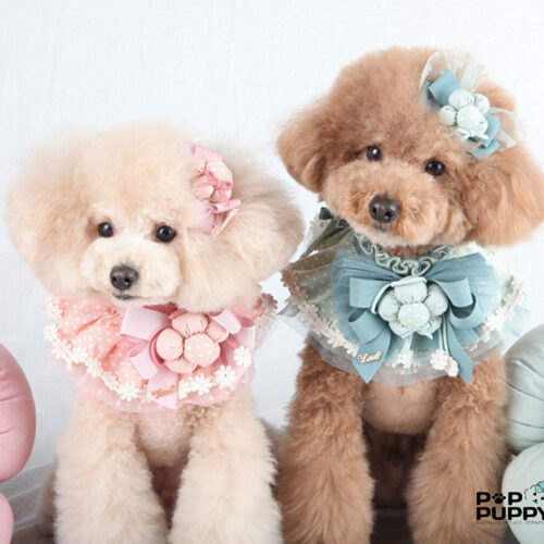 Cotton Dot Flower Cape