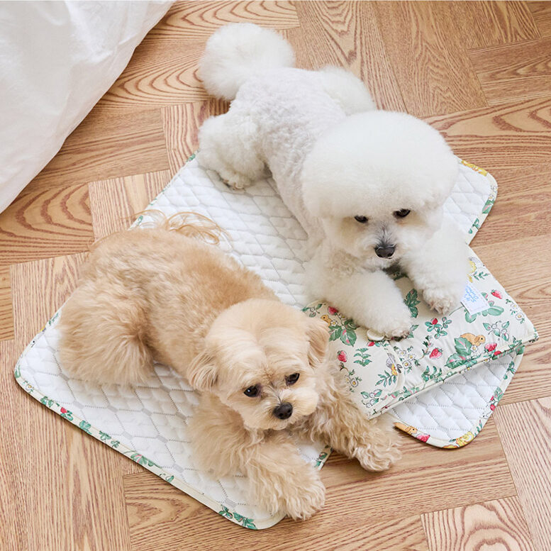 It's Sunny Outside Cool Mat