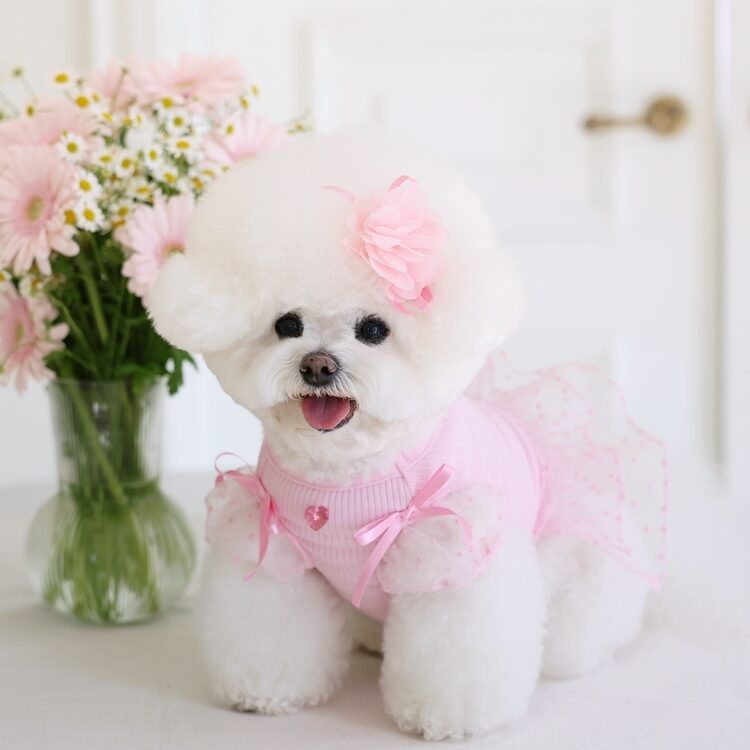 Ribbon Puff Sleeve (Pink)