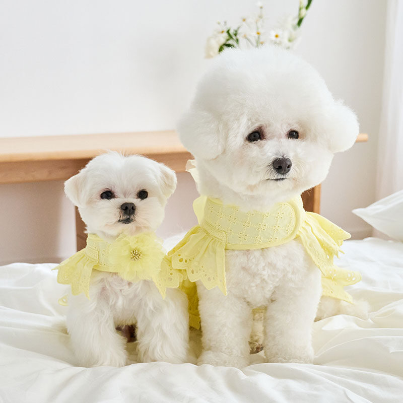 Angel Harness (Yellow)