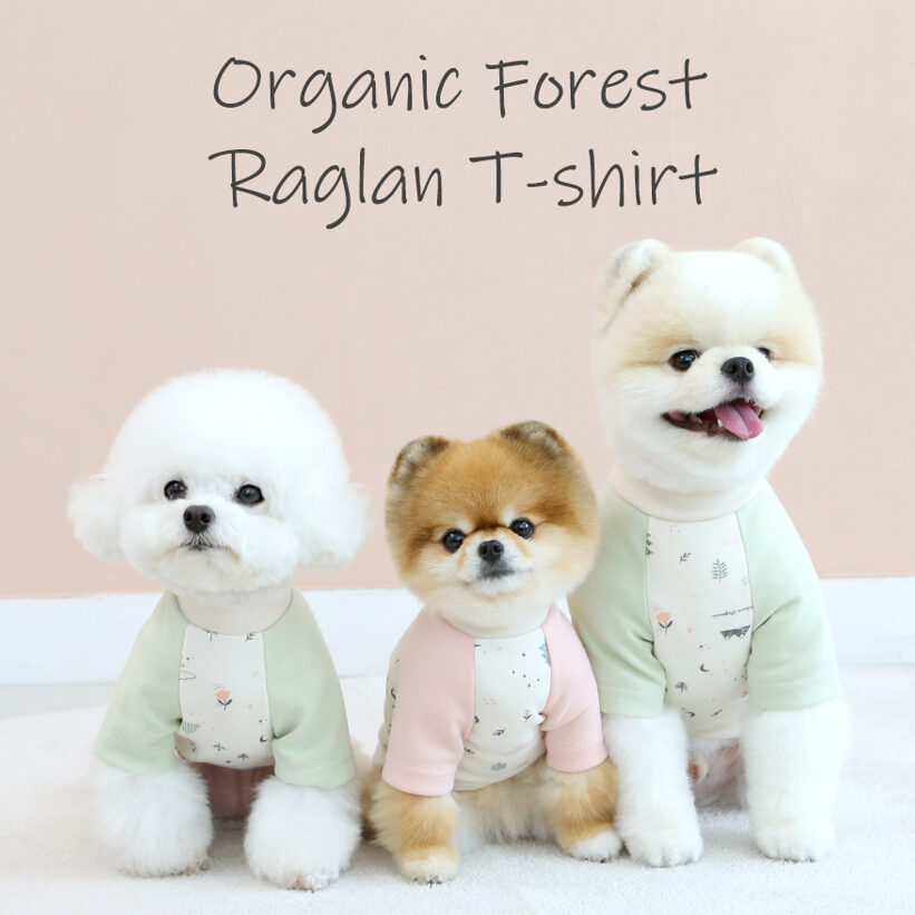 Organic Forest Raglan T-shirt