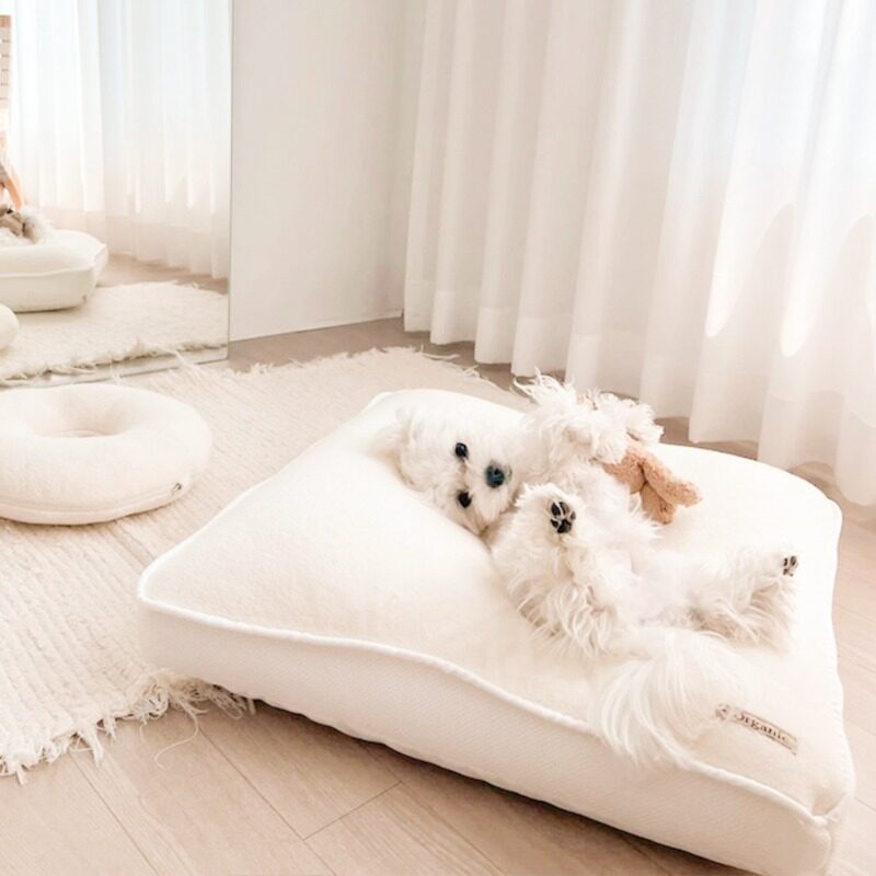 My Baby Organic Cushion